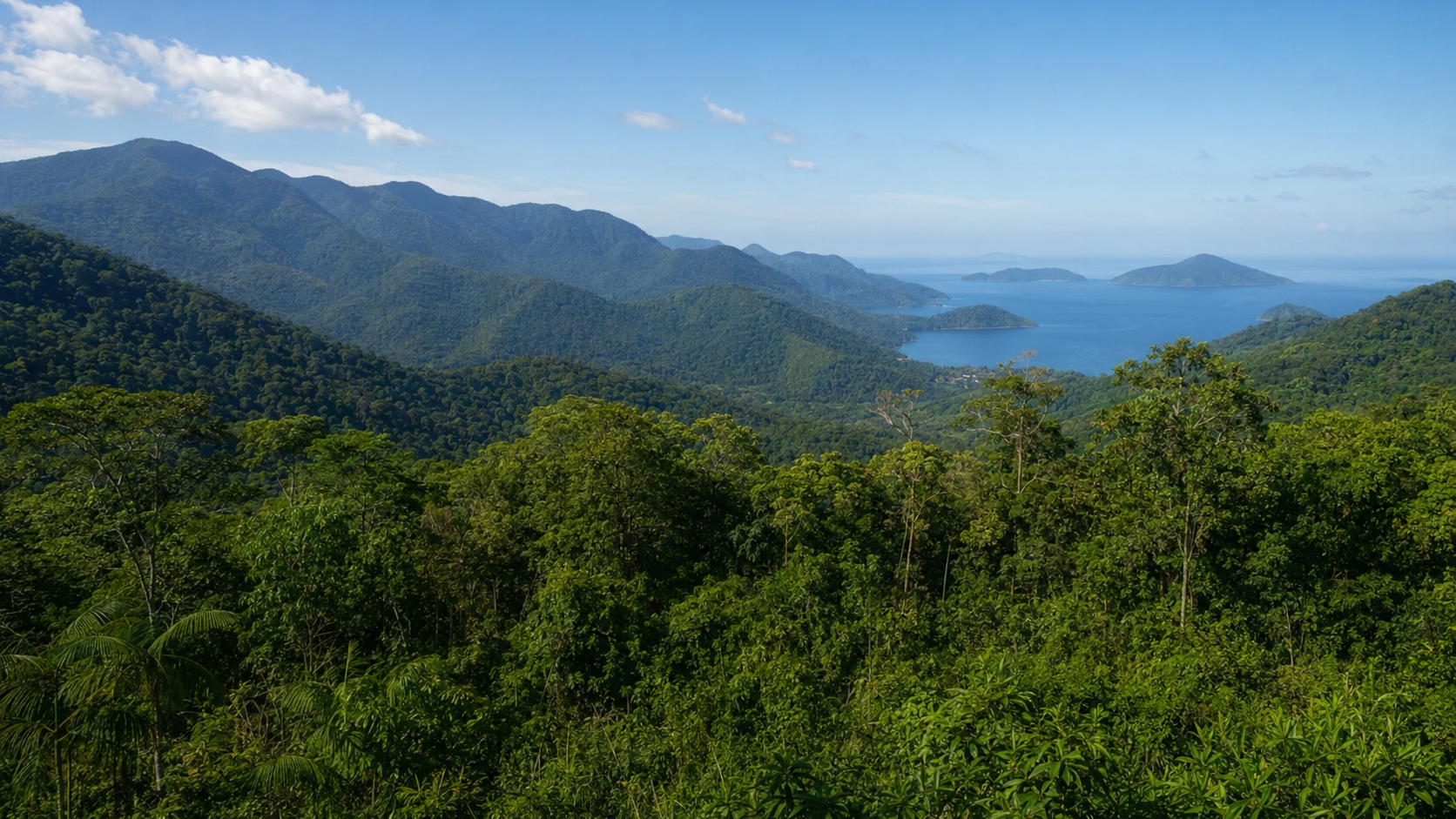 Paisagem da Mata Atlântica e montanhas da Costa Verde, território ancestral da Aldeia Sapukai